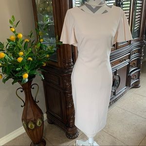 Calvin Klein Blush Pink Flutter Sleeve Dress | size 6
